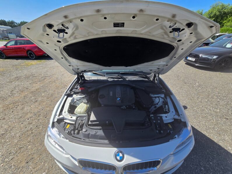 
								BMW Řada 3 316D Sport 2013 full									