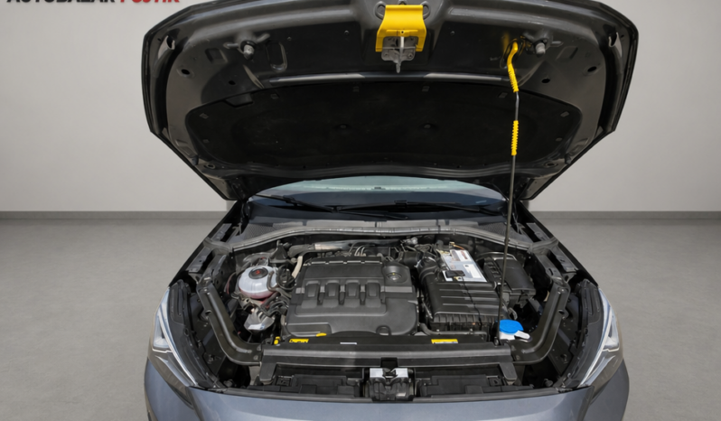 
								Seat Tarraco 2020 – 2.0 TDi 140kw 4×4 XCELLENCE full									